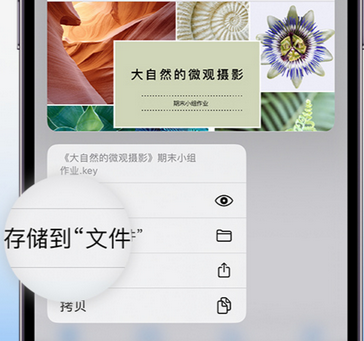 岳塘apple维修中心分享iPhone文件应用中存储和找到下载文件