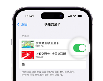 岳塘apple维修点分享iPhone上更换Apple Pay快捷交通卡手绘卡面 