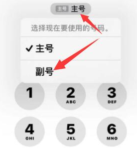 岳塘苹果14维修店分享iPhone 14 Pro Max使用副卡打电话的方法 