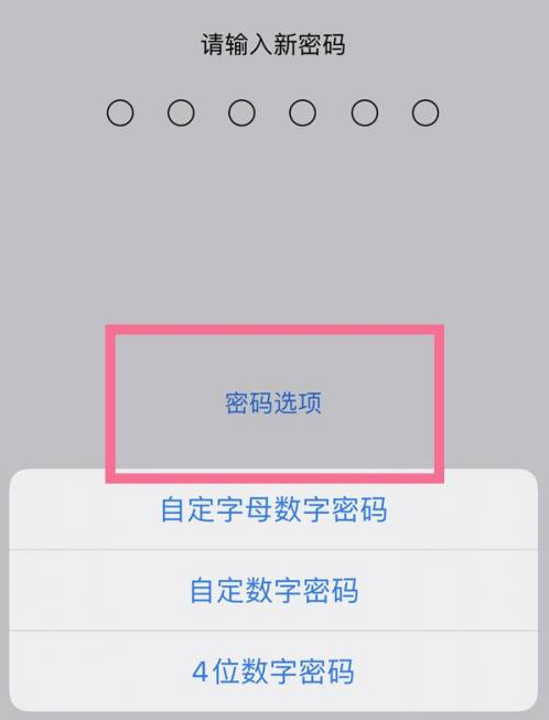 岳塘苹果14维修分享iPhone 14plus设置密码的方法 