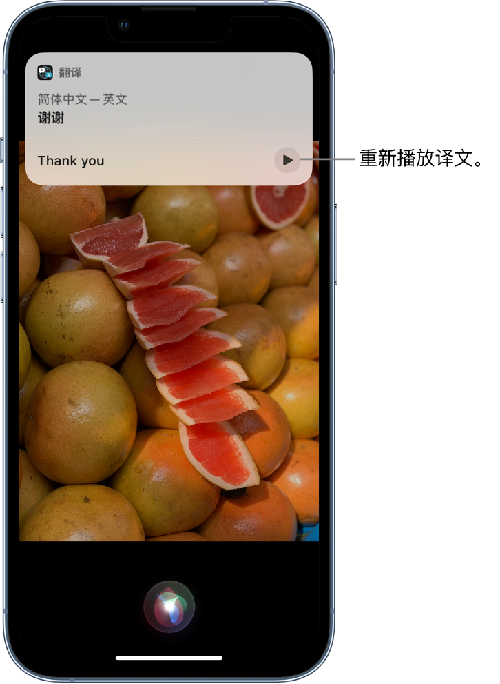 岳塘苹果14维修分享 iPhone 14 机型中使用 Siri：了解 Siri 能帮你做什么 