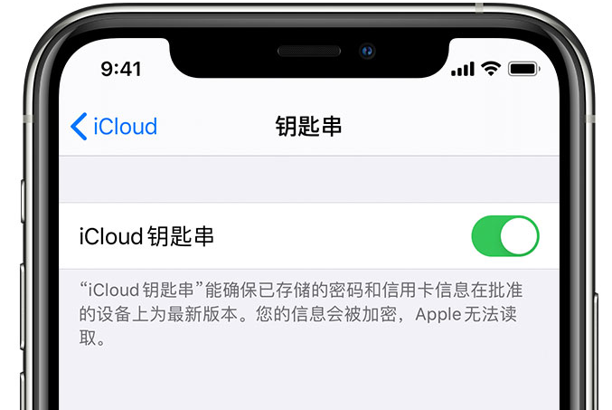 岳塘苹果手机维修分享在 iPhone 上开启 iCloud 钥匙串之后会储存哪些信息 